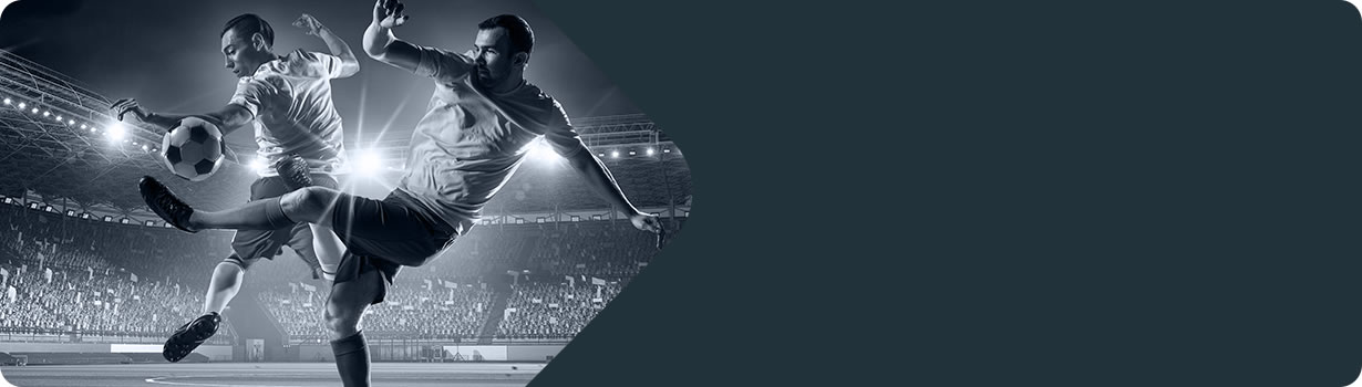 loco sudoku printable games
